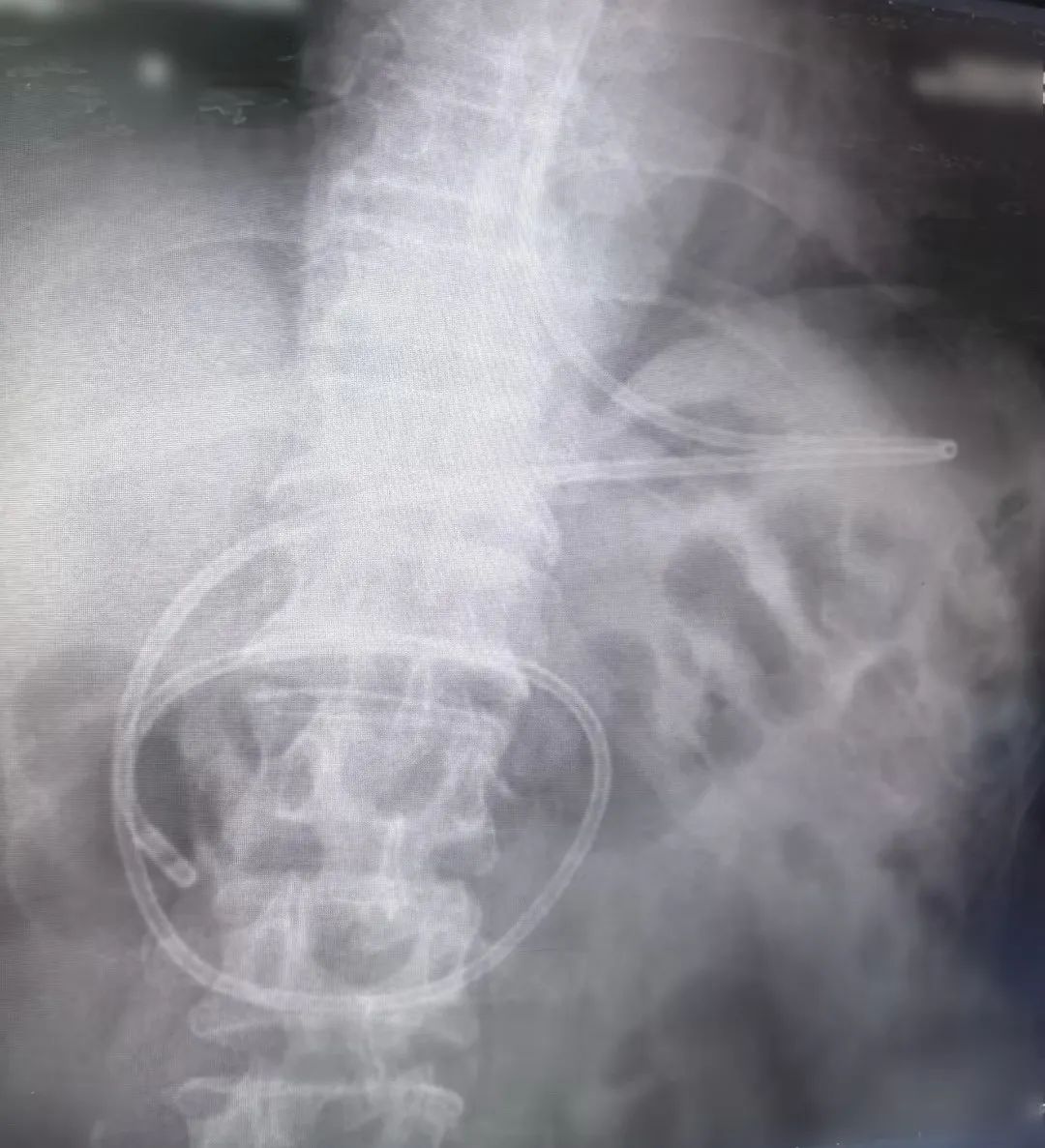 1743491690129865.jpg 微信图片_20250401151343.jpg